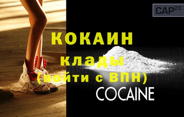 дживик Новозыбков