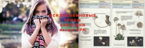 дживик Новозыбков
