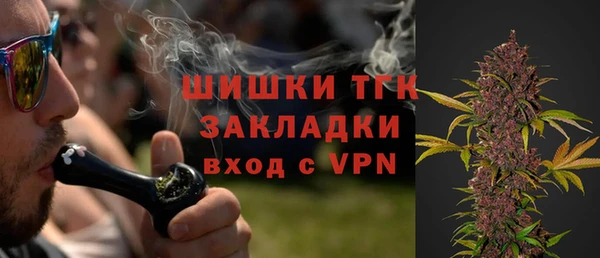 дживик Новозыбков