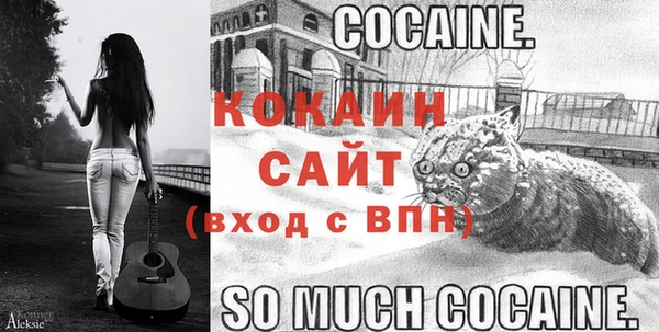 дживик Новозыбков
