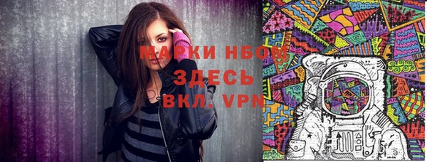 дживик Новозыбков