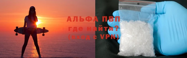 дживик Новозыбков
