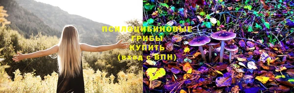 альфа пвп Новокубанск