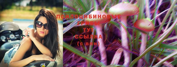 дживик Новозыбков