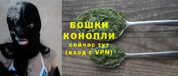 дживик Новозыбков