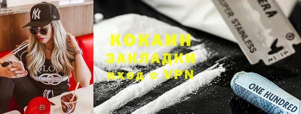 дживик Новозыбков