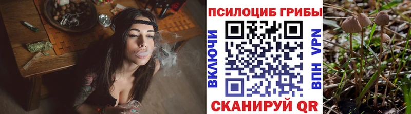 Псилоцибиновые грибы GOLDEN TEACHER Пушкино