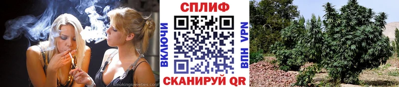 Бошки Шишки гибрид Пушкино