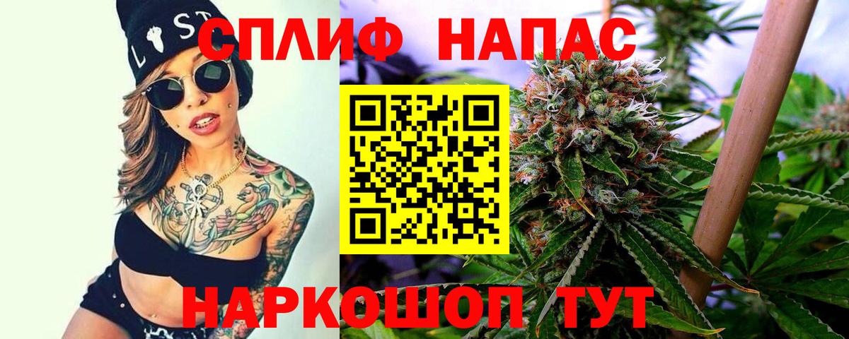 Каннабис OG Kush Пушкино
